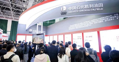 2024中國油氣開發技術年會 聚焦提質增效，共繪能源新藍圖